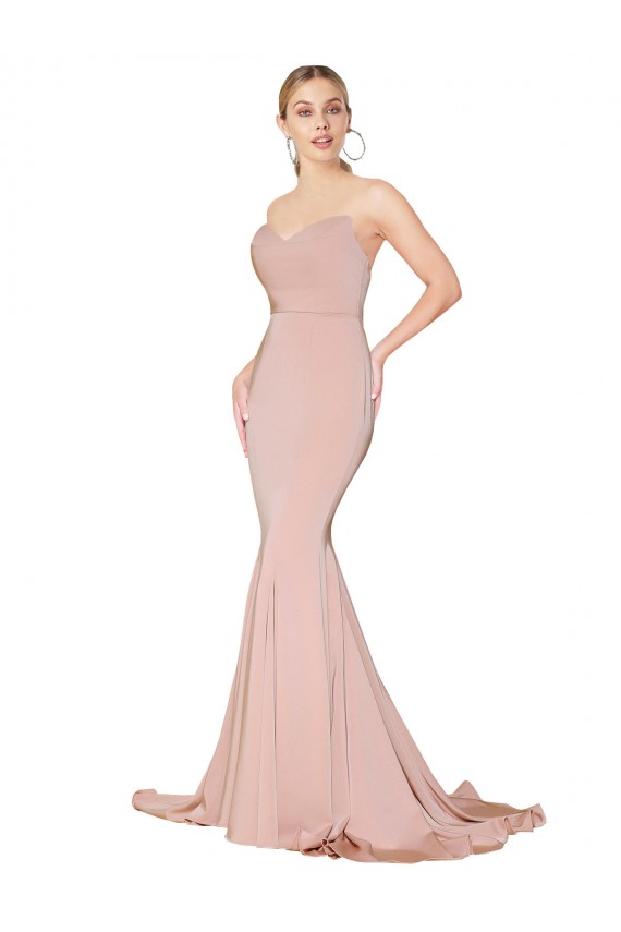 Purcahse  Mauve High Neck Sleeveless Low Back Long Sexy Evening Dress UK